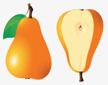 Pear Png Image - Груша Clipart Png, Transparent Png, Free Download