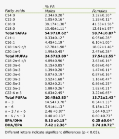 Document, HD Png Download, Free Download
