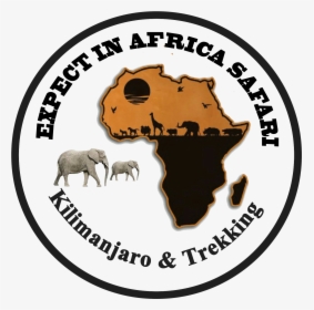 Transparent Africa - Sheep, HD Png Download, Free Download