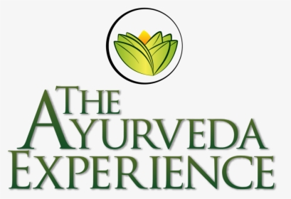 Platinum Plus Sponsor - Ayurveda Experience Logo, HD Png Download, Free Download