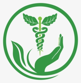Naturopathy Services Health Medicine Herbalism Pharmacy - Herbal Medicine Logo Png, Transparent Png, Free Download