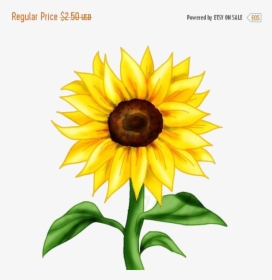 Sunflower Clipart Off Beautiful Clip Art Flower Wallpaper - Clip Art Sun Flower, HD Png Download, Free Download