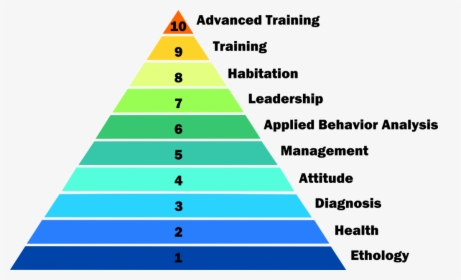 Pyramid Of Employee Needs, HD Png Download, Free Download