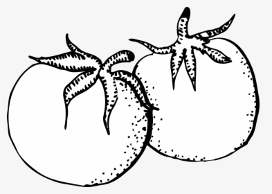 Tomato Clipart Black And White Png, Transparent Png, Free Download