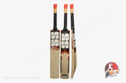 Ss 281 Kashmir Willow Cricket Bat-junior - Ss Gutsy Cricket Bat, HD Png Download, Free Download