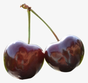 Cherry, Pair, Fruits, Sweet, Food, Eat, Vitamins - Gambar Buah Leci Animasi Vektor, HD Png Download, Free Download