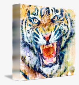 Angry Tiger Watercolour, HD Png Download, Free Download