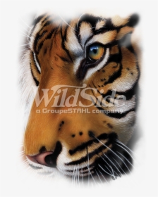 Transparent Tiger Face Png - Sumatran Tiger Profile, Png Download, Free Download