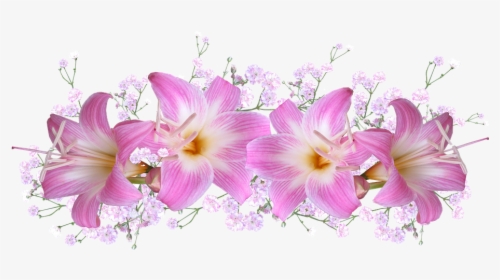 Lírios Png, Transparent Png, Free Download