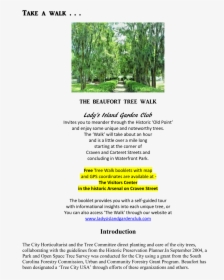 Click Anywhere On This Introduction For A Pdf Of The - Tree, HD Png Download, Free Download