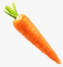 Carrot, HD Png Download, Free Download