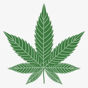Plant,leaf,hemp Family - Transparent Background Cannabis Leaf Png, Png Download, Free Download