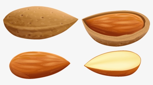 Almond Free To - Almonds Clipart, HD Png Download, Free Download