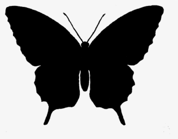 Butterfly Silhouette Clip Art - Black Butterfly Silhouette Png, Transparent Png, Free Download