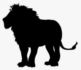 Lion, HD Png Download, Free Download