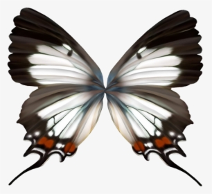 Butterfly Wings Person For Photoshop, HD Png Download, Free Download