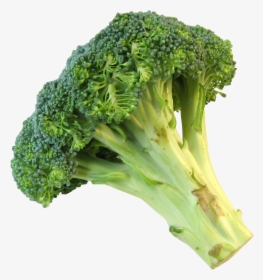 Fresh Image Purepng Free - Broccoli Transparent Background, Png Download, Free Download