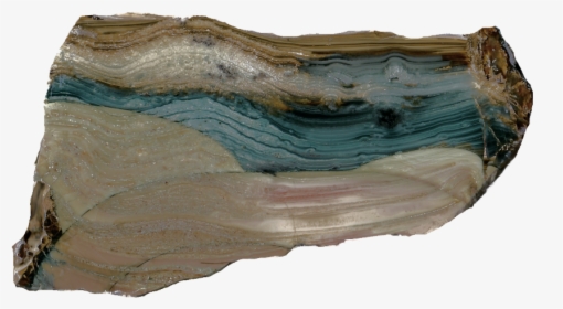 Driftwood, HD Png Download, Free Download