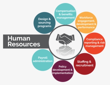 Hr Outsourcing - 11advisors - Information Technology, HD Png Download, Free Download