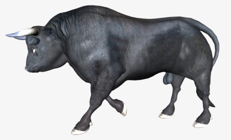 Zebu Ox Bull Water Buffalo - Buffalo Running Transparent, HD Png Download, Free Download