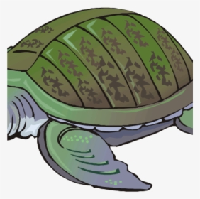 Clipart Turtle Free Turtle Clipart Clip Art For Students, HD Png Download, Free Download