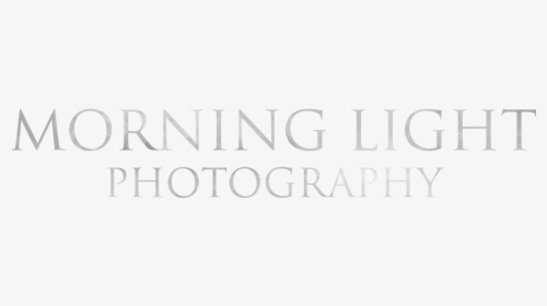Salvation Army, HD Png Download, Free Download