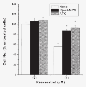 Basal Metabolic Rate, HD Png Download, Free Download