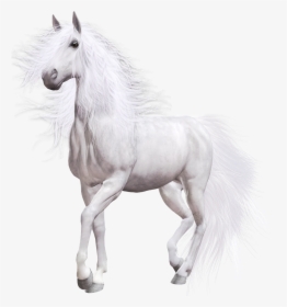 White Horse Png Clip Art - Transparent Background White Horse Png Transparent, Png Download, Free Download