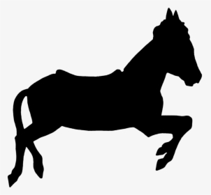 Hd Free Unlimited - Small Black Horse Png, Transparent Png, Free Download