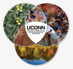 Food, Health And Sustainability Are The Three Program - University Of Connecticut, HD Png Download, Free Download