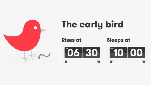Early Bird Late Bird , Png Download - Early Bird Schedule, Transparent Png, Free Download