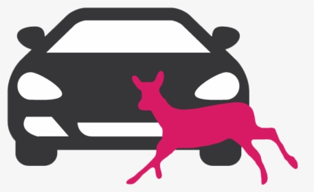Road Kill Png - Front Car Icon Png, Transparent Png, Free Download