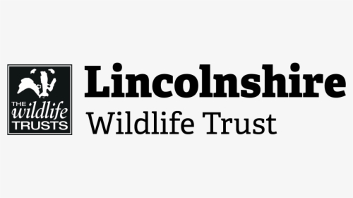 Home - Lincolnshire Wildlife Trust, HD Png Download, Free Download