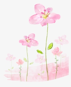 Flowers Background Png - Watercolor Pink Flower Background, Transparent Png, Free Download