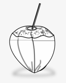 Food Coconut Icon Coconut Icon Black White Line Art - Coconut Black & White Png, Transparent Png, Free Download