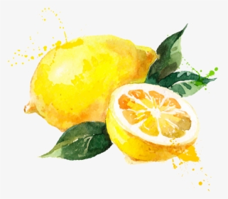 Watercolor Painting Royalty Free - Cartoon Transparent Background Lemon Png, Png Download, Free Download