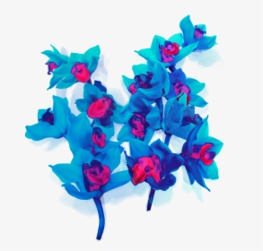Blue Orkide Png, Transparent Png, Free Download