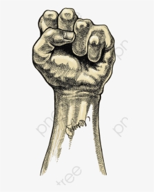 Fist Clipart Clenched - Cross Hatching Drawing, HD Png Download, Free Download