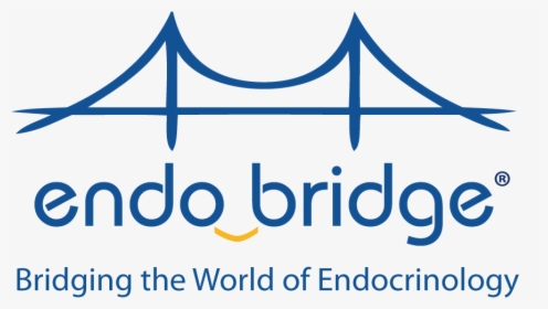 Asce Steel Bridge Logo , Png Download - Endobridge 2019, Transparent Png, Free Download