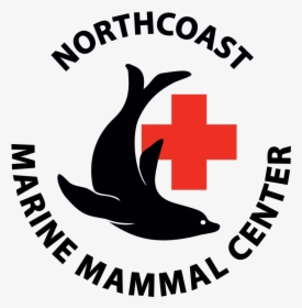 Media Item - Northcoast Marine Mammal Center, HD Png Download, Free Download
