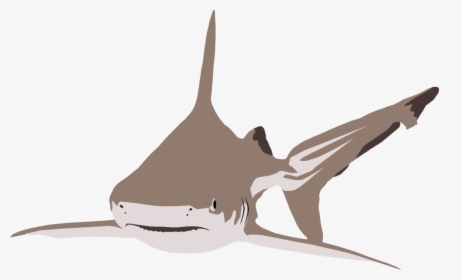 Transparent Marlin Clipart - Requiem Shark, HD Png Download, Free Download