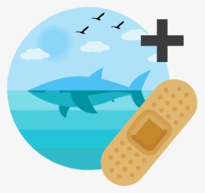 Flat Shark Icon, HD Png Download, Free Download