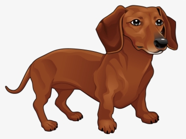 Transparent Dachshund Dog Clipart - Dachshund Png, Png Download, Free Download