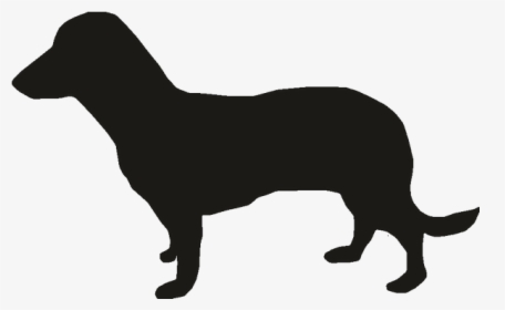Miniature Dachshund Puppy Vector Graphics Dog Breed - Mini Dachshund Outline, HD Png Download, Free Download