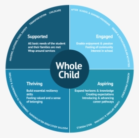 Whole Child Framework - Circle, HD Png Download, Free Download