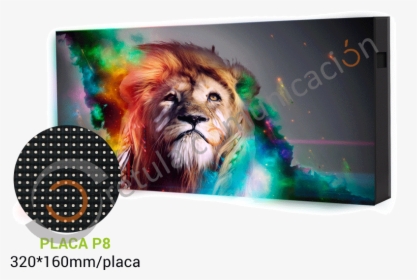 Lion Hd Wallpaper For Laptop, HD Png Download, Free Download