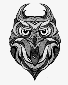 Owl Arctic Fox Drawing Art - Andreas Preis Owl, HD Png Download, Free Download
