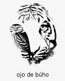 Logo - White Tiger Eyes, HD Png Download, Free Download