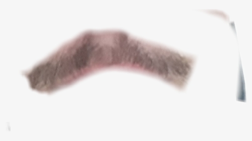 Featured image of post Bigode Png Real We upload amazing new content everyday