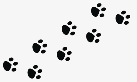 Thumb Image - Transparent Bunny Paw Print, HD Png Download, Free Download
